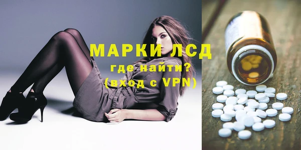 шишки Аркадак
