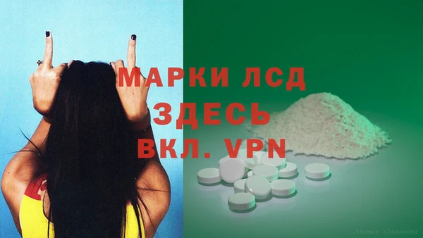шишки Аркадак