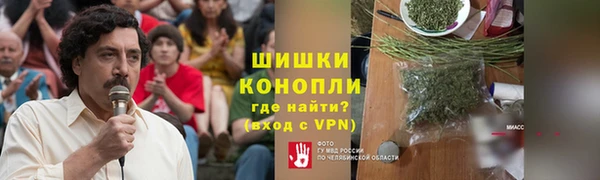 шишки Аркадак
