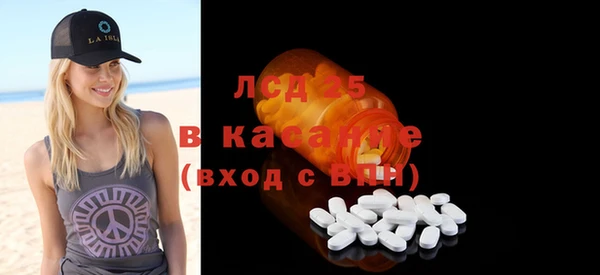 шишки Аркадак