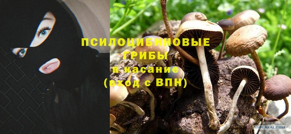 соль ск Арсеньев
