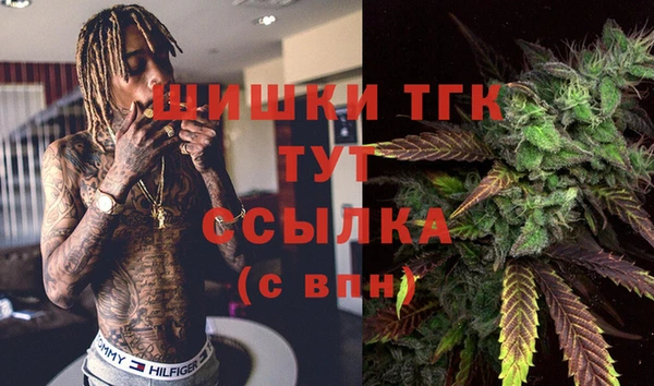 шишки Аркадак